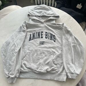 Anine Bing Light Gray Sport Hoodie